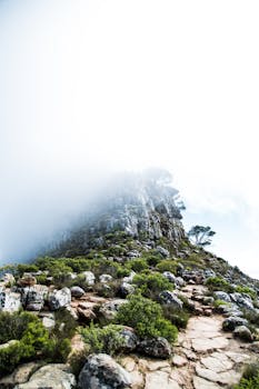 Foggy mountain terrain in Cape Town, South Africa, showcasing natural rocks and greenery.
