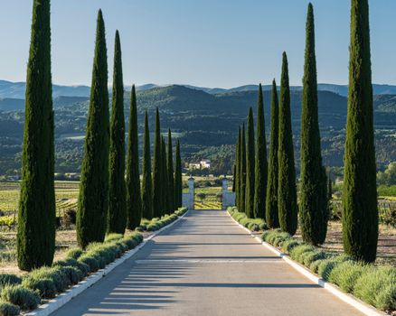 Wine tasting in Châteauneuf-du-Pape — Provence