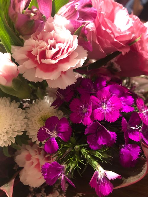 Free Flowers Stock Photo