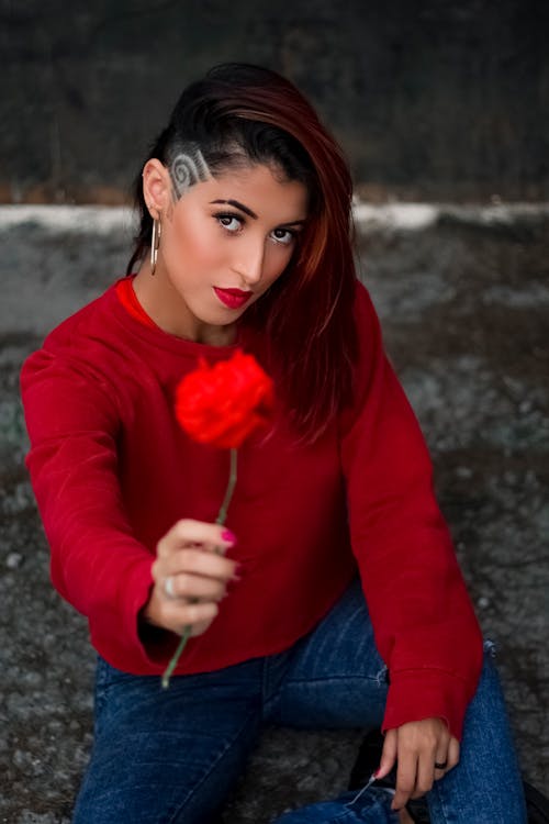 Free Woman Wearing Red Crew Neck Long Sleeve Shirt Sitting And Holding Red Rose Flower Stock Photo
