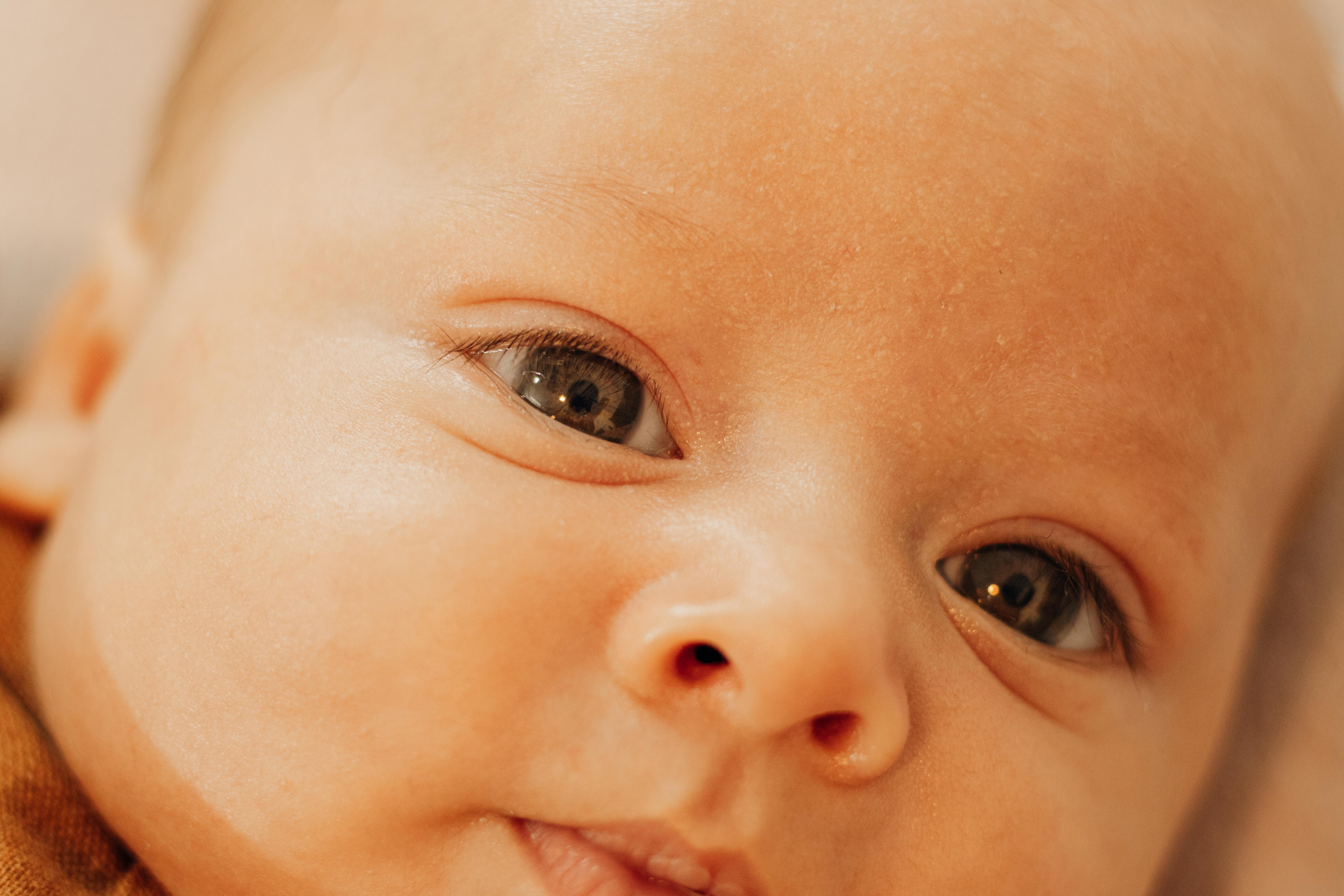 close up of a newborn babys face