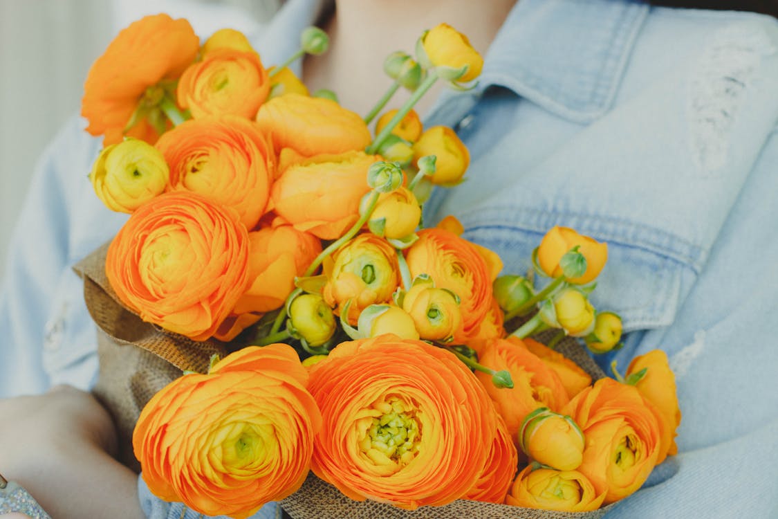 żółte I Pomarańczowe Kwiaty