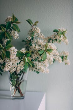 透明的玻璃花瓶里插着美丽的白色花朵，放在极简主义的桌子上