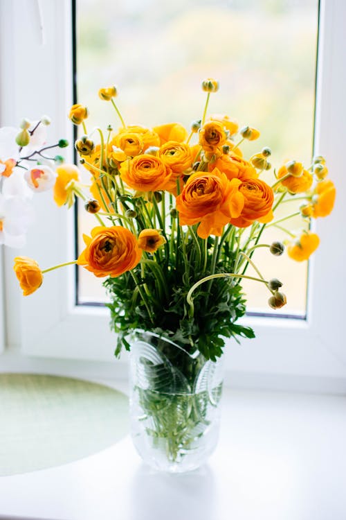 Free Photo of Yellow Flowers in a Glass Vase Next to a Window Stock Photo