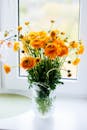 窗前玻璃花瓶里，一束明亮的黄色毛茛花漂亮地排列着，展现出活泼的自然气息
