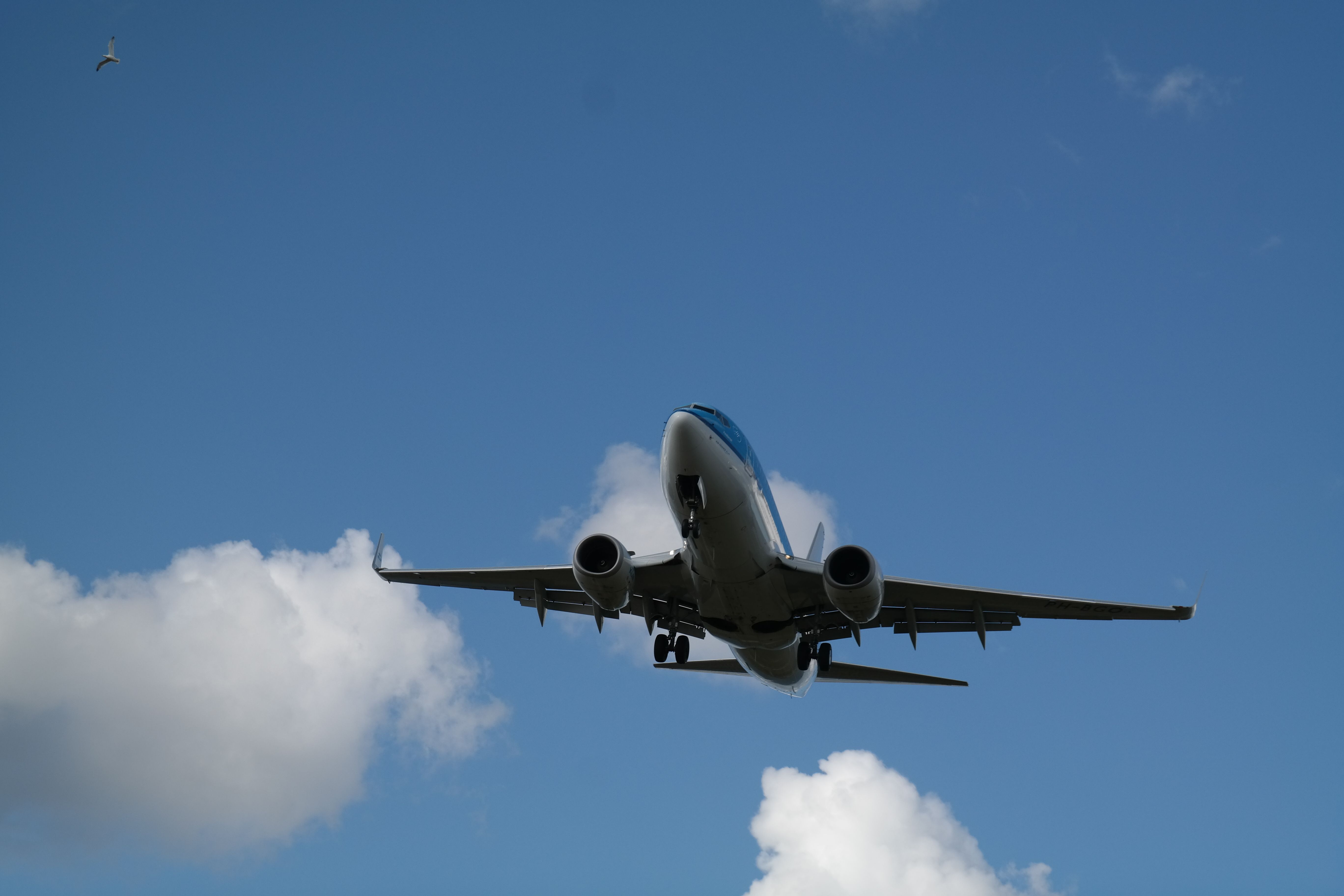 How Do Airline Miles Work? — Photo by Angela  Victoria on Pexels