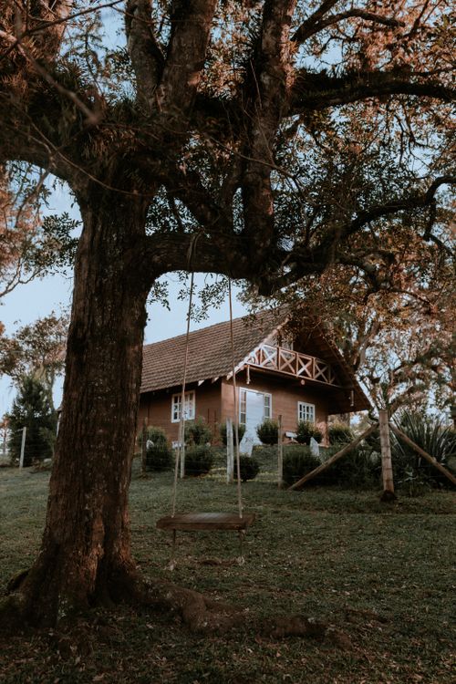 Free Rustic wooden house surrounded by nature with a tree swing, perfect for a serene escape. Stock Photo