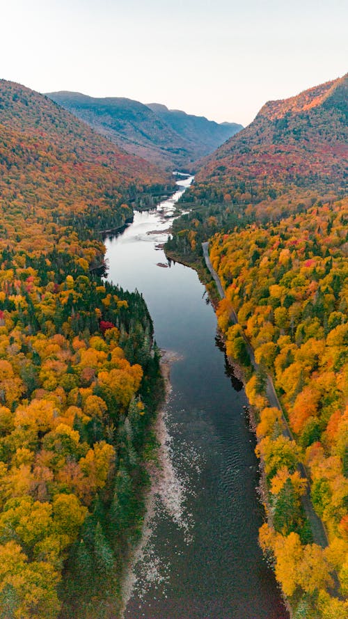 An aerial view of a river surrounded by trees