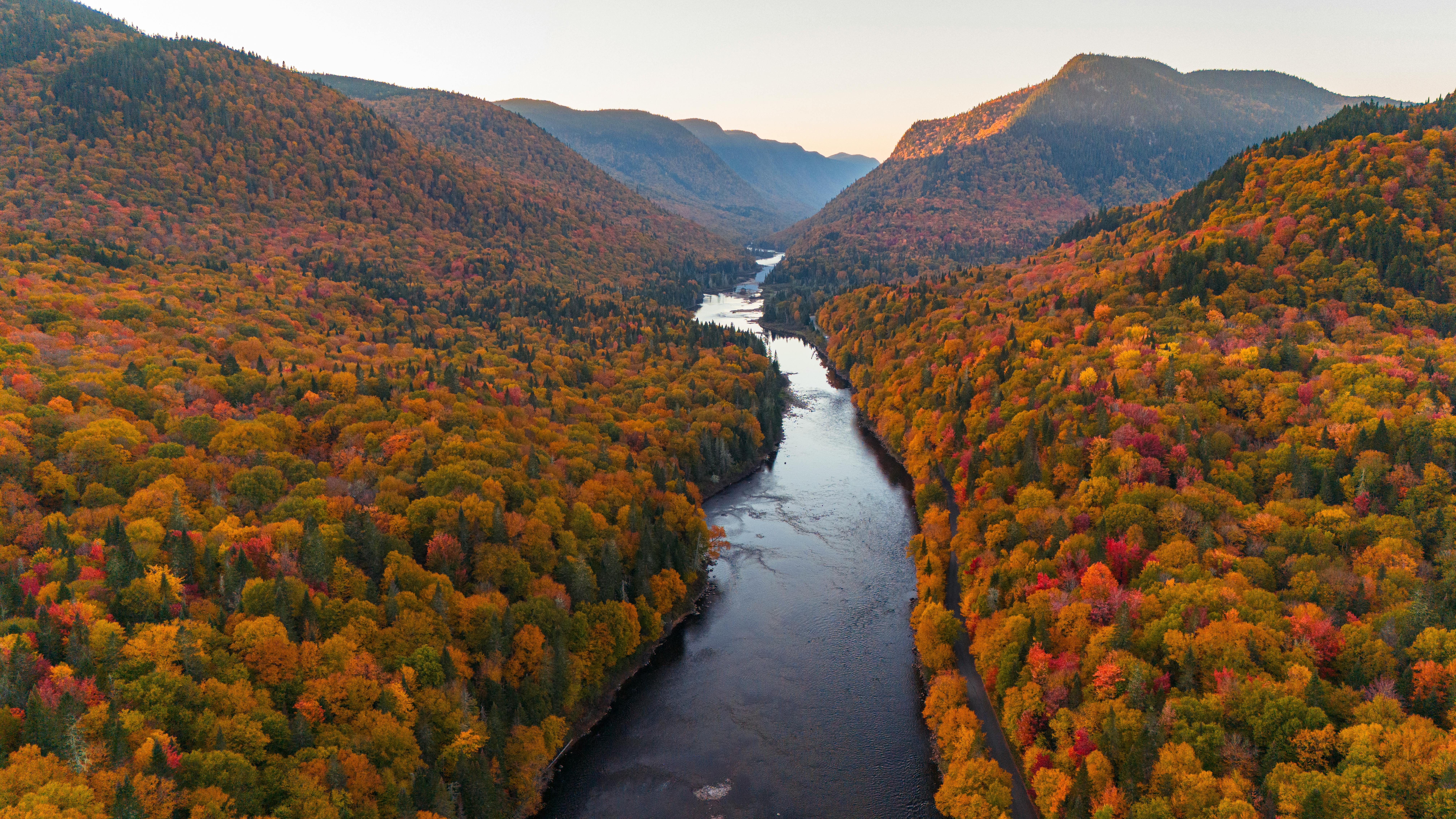 Breathtaking aerial shot of a vibrant autumn forest with a winding river, highlighting nature's beauty.