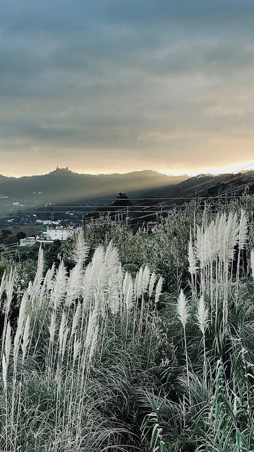 Fotos de stock gratuitas de hermosa naturaleza, luz del sol, montaña