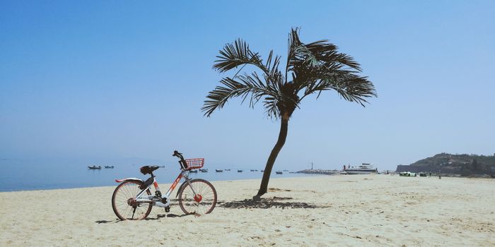 Day Trip in Xiamen