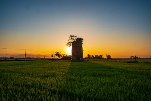 A sunset in a field with a tower in the middle