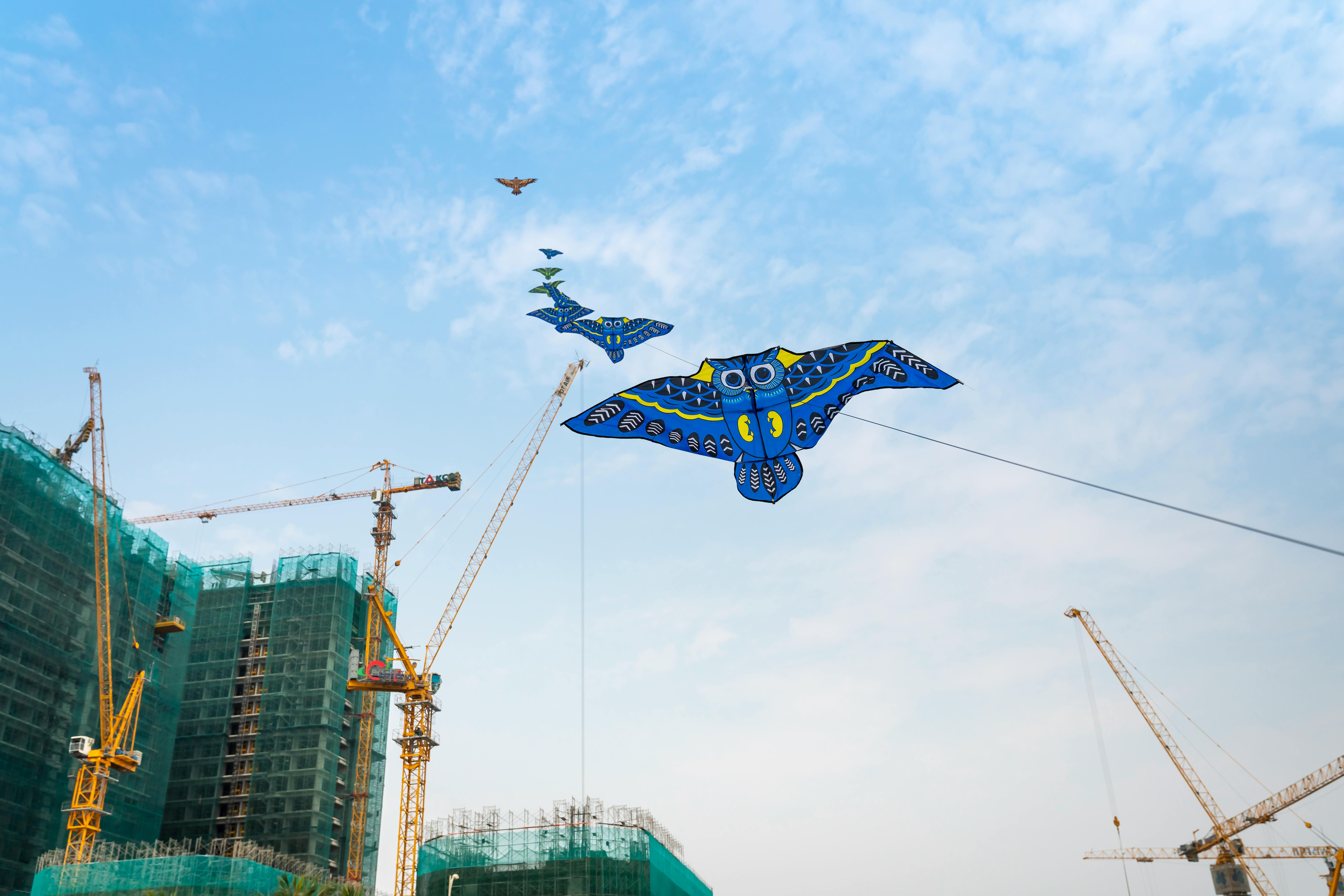 blue kites in the sky