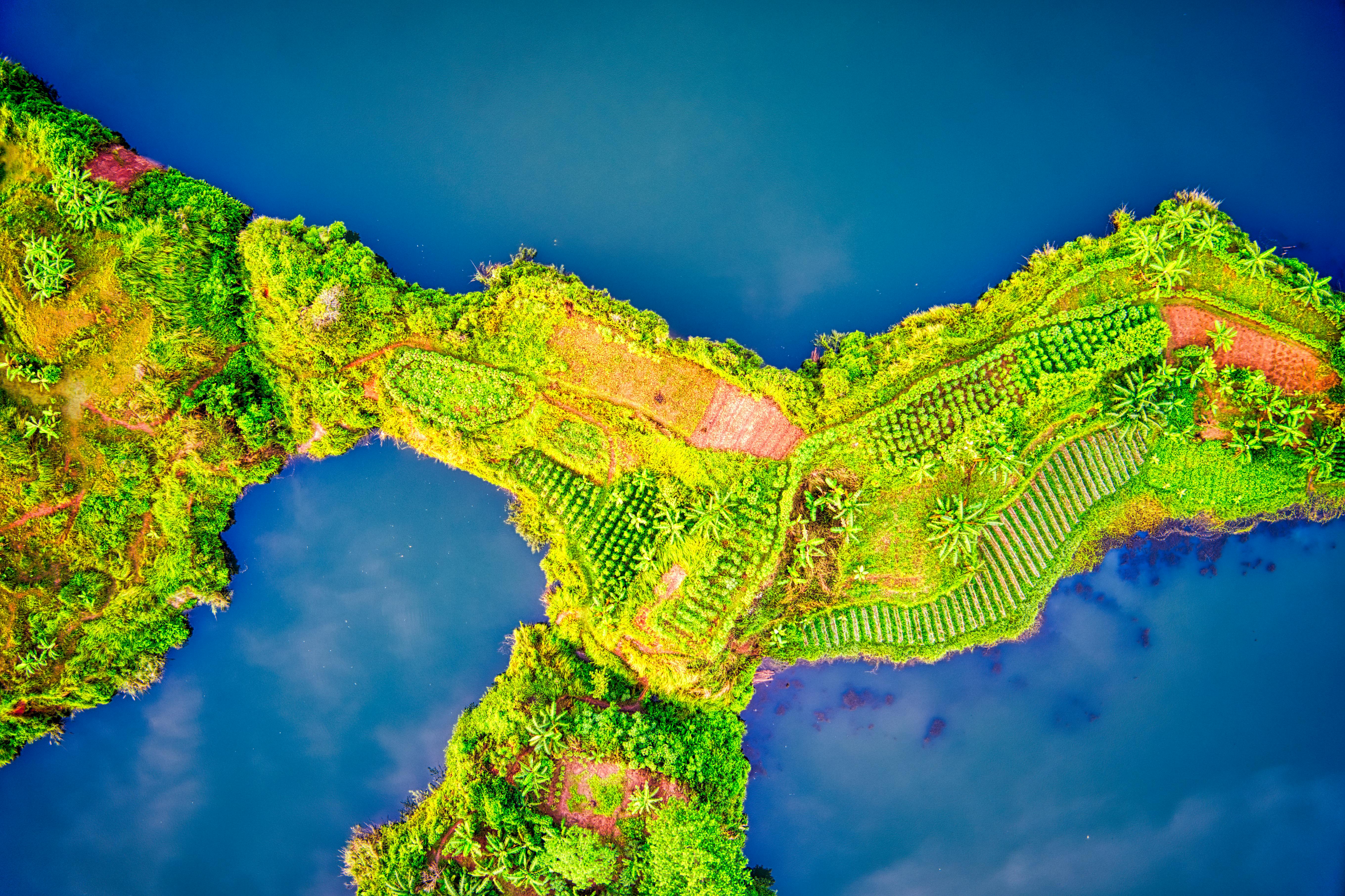 aerial photo of green vegetation covered island