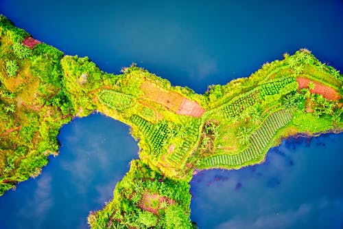 Foto Aérea De La Isla Cubierta De Vegetación Verde