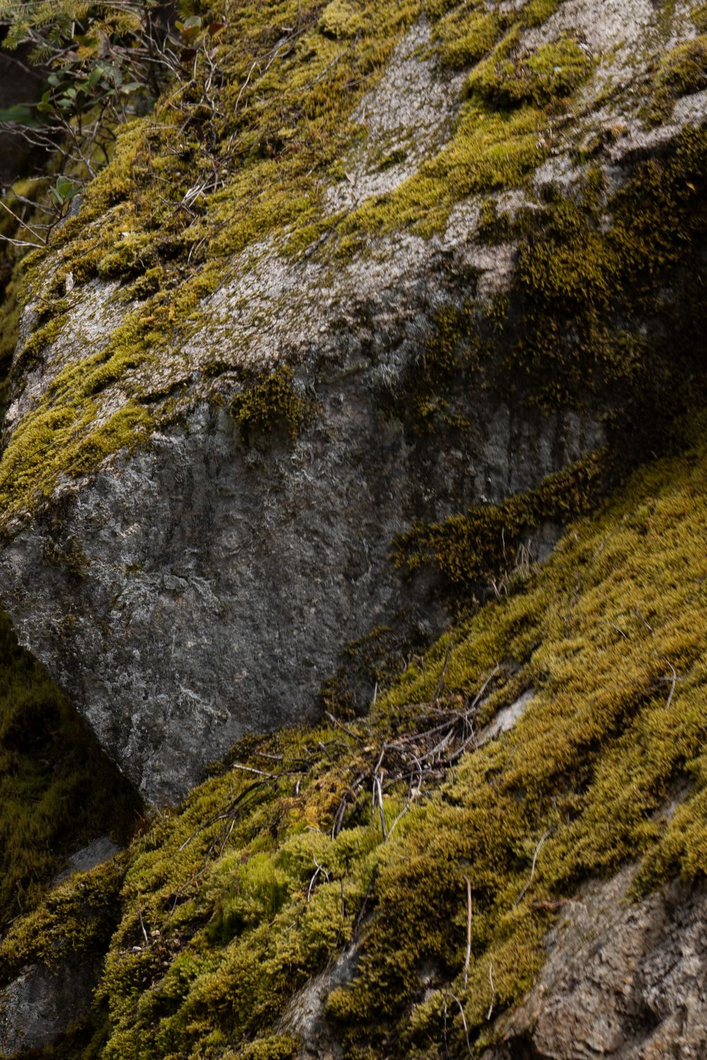 Moss Formations On Rocks Moss Covered Rock Formations · Free Stock Photo