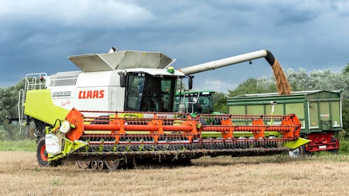 Imagine de stoc gratuită din agricultură, agronomie, anotimp