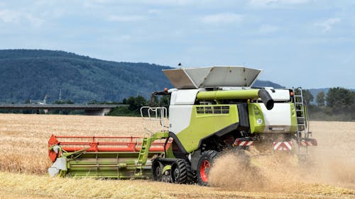 Photos gratuites de agriculture, blé, campagne