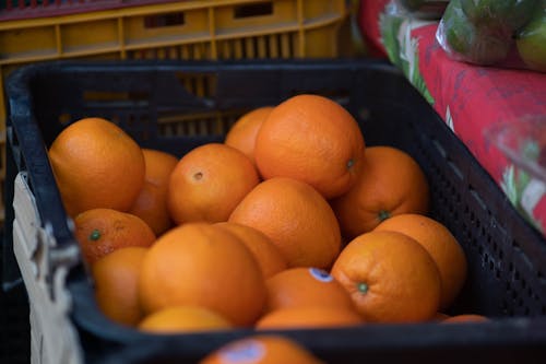 Kostnadsfri bild av citrusfrukt, frukt, orange frukter