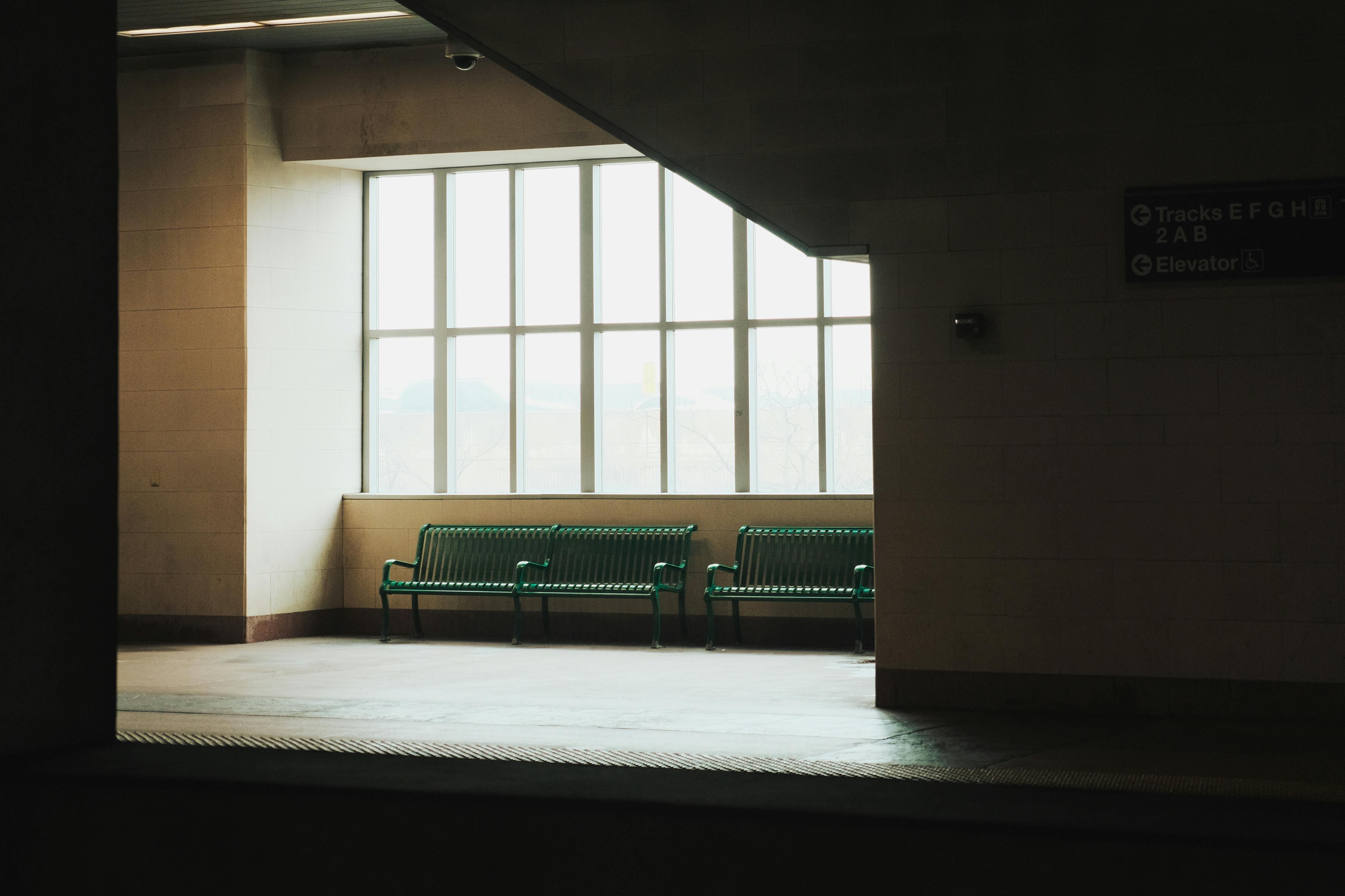 What to Do While Waiting for College Admissions Decisions — Photo by Daniel Liu on Pexels