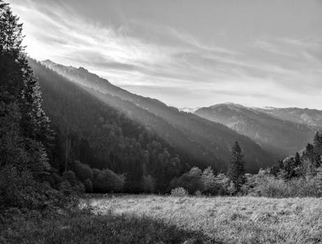 Monochrome view of a serene valley with forests and mountains under a dramatic sky.