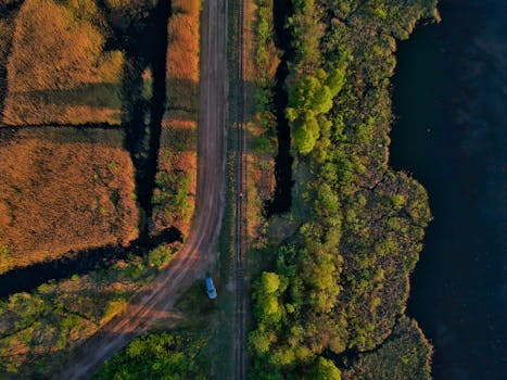 Discover the tranquility of a forest road amidst vibrant fall colors and lush greenery in this aerial shot.