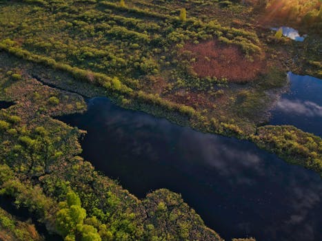 Stunning aerial view of lush green wetlands with calm water reflecting the sky in fall.