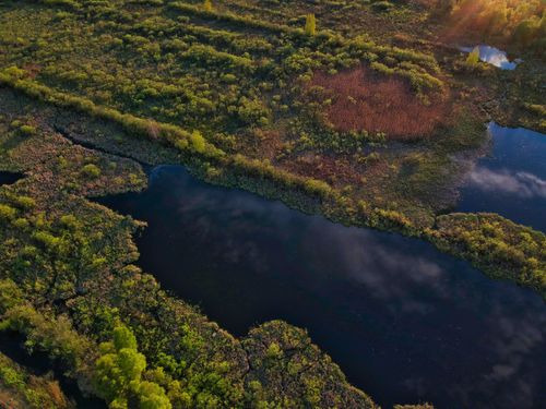 Free Stunning aerial view of lush green wetlands with calm water reflecting the sky in fall. Stock Photo