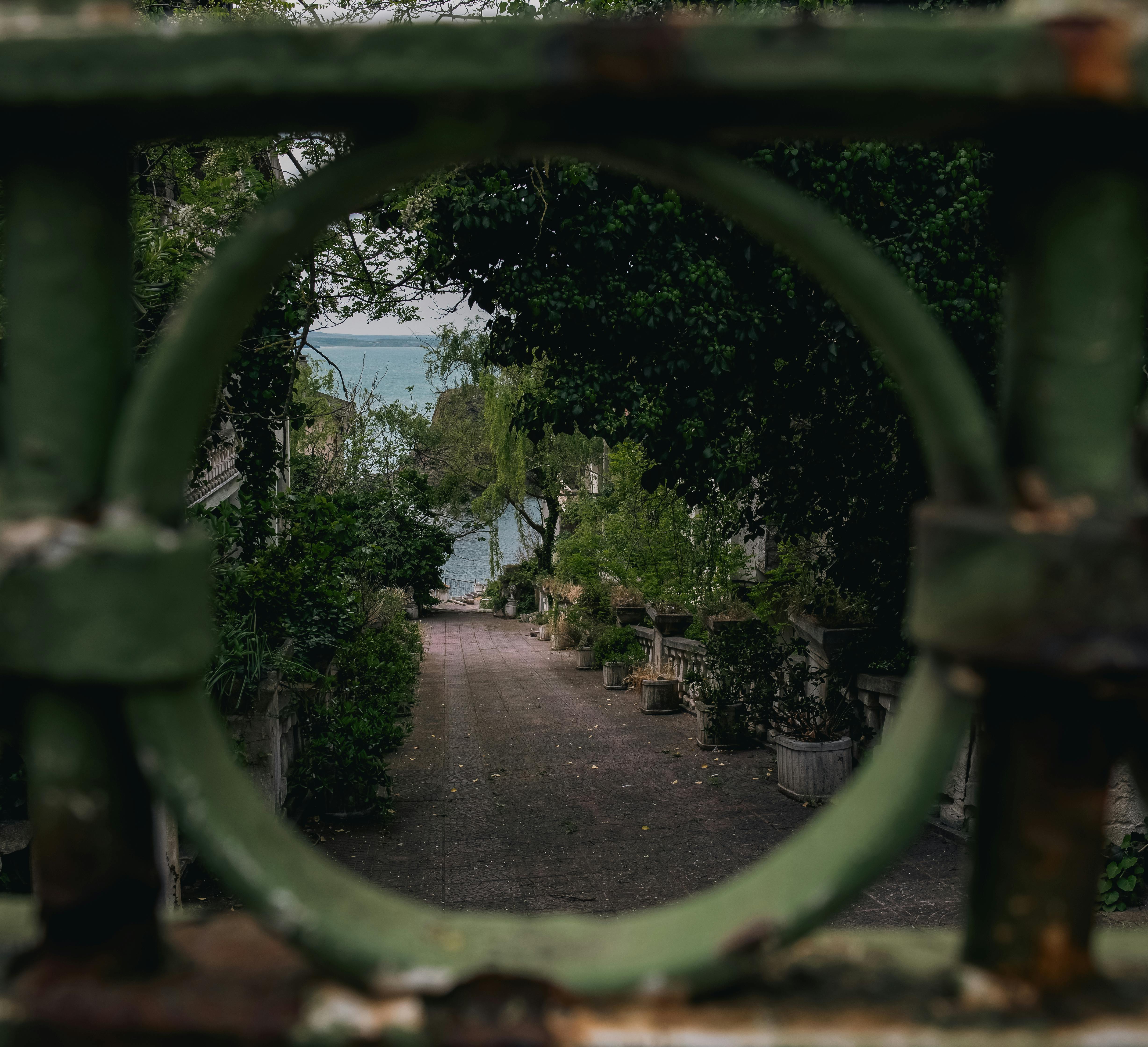 Seaside Alley Full of Greenery Through the Railing · Free Stock Photo