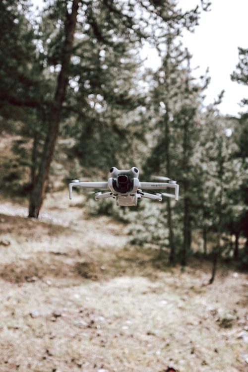Free An advanced drone hovering among trees in a dense forest, showcasing technology in nature. Stock Photo