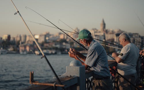 türkiye的, 人, 伊斯坦堡 的 免費圖庫相片