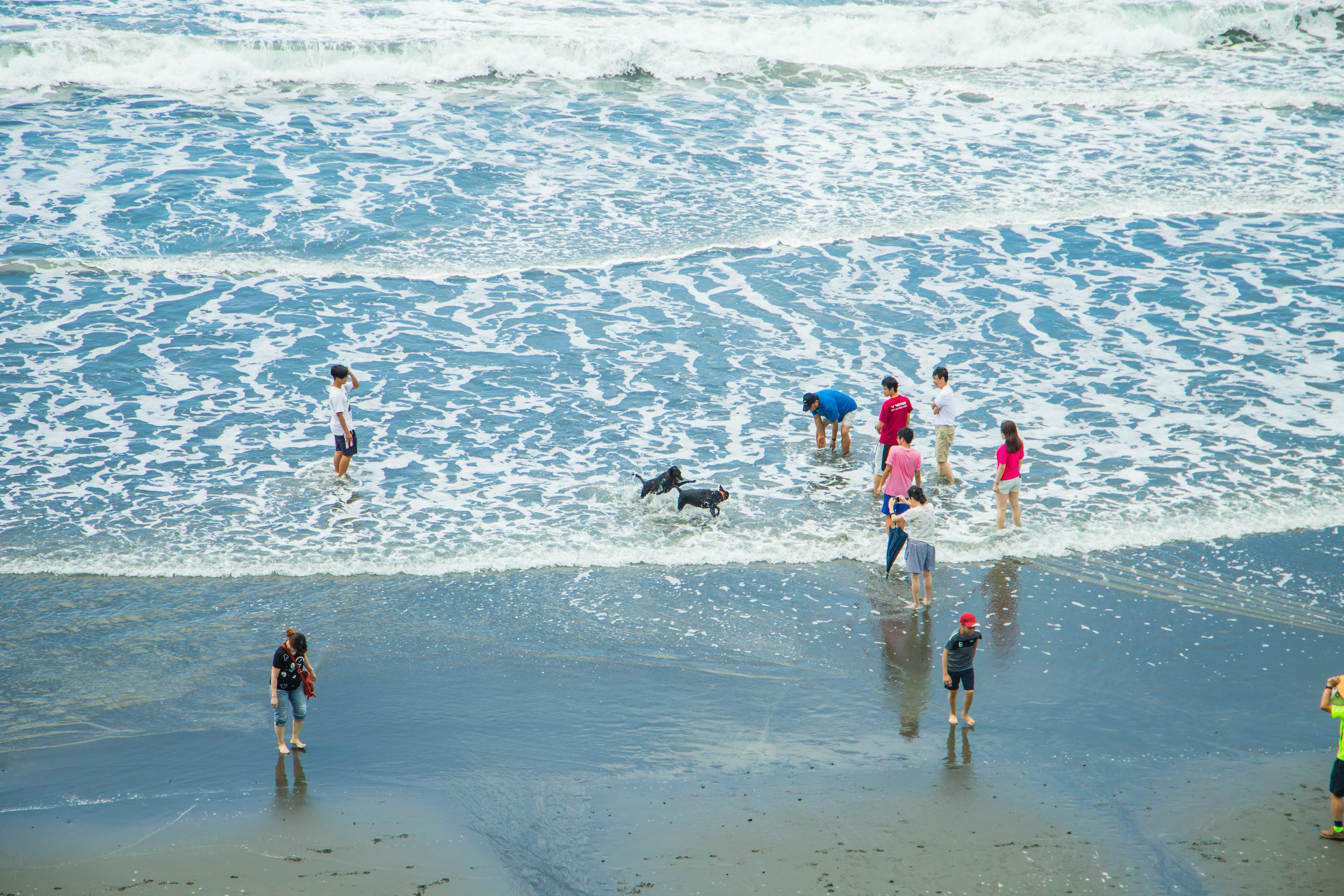 七星潭海岸風景