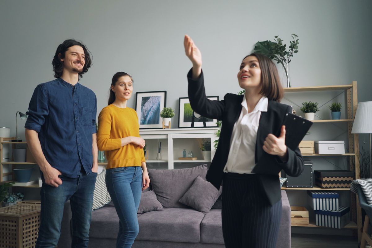 LMP (Loueur Meublé Professionnel) : seuils et différence avec LMNP - LMP et LMNP : quelles différences fondamentales ?