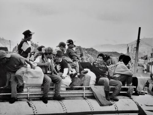 Free A group of men travels on a vehicle roof in a rural setting, captured in black and white. Stock Photo
