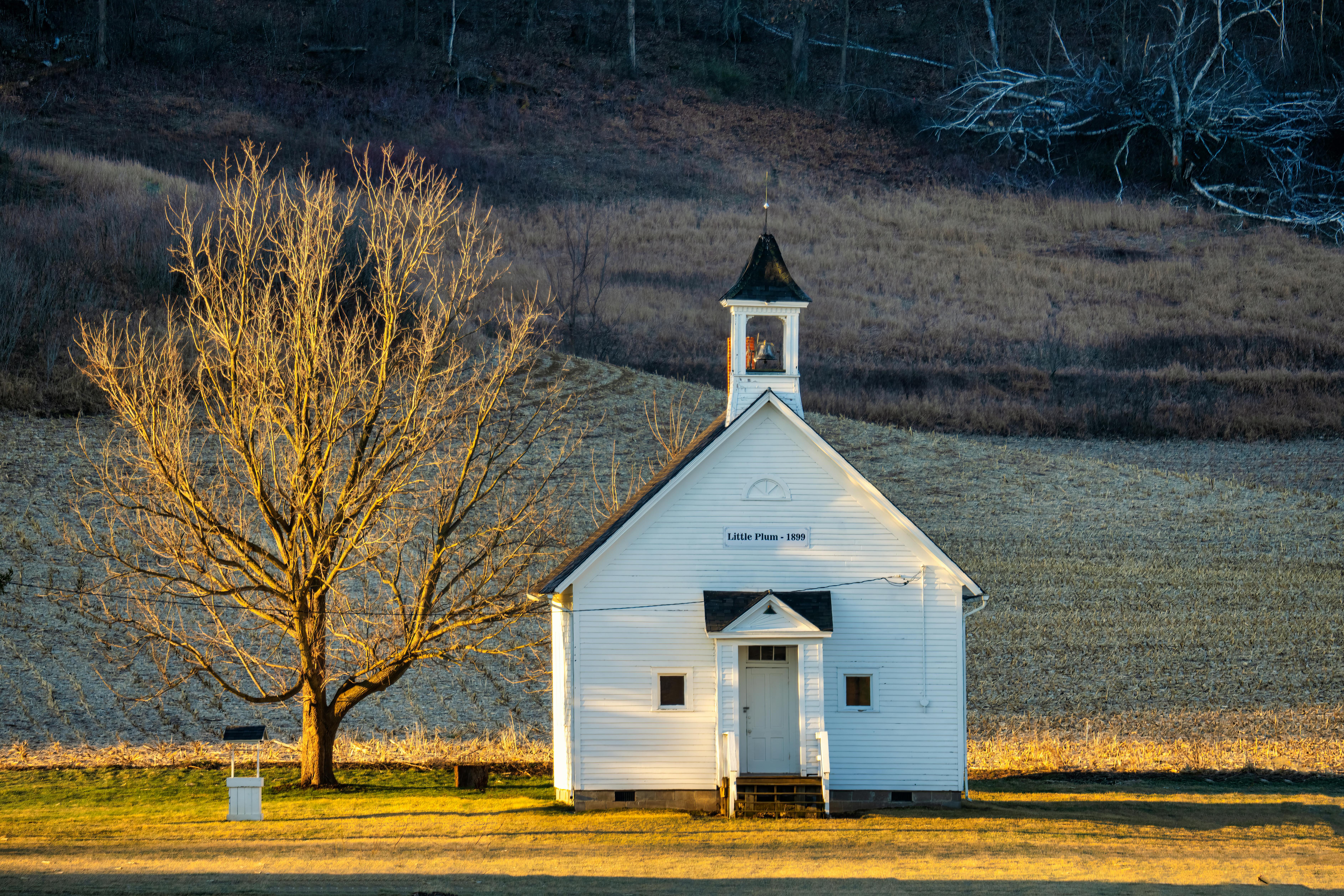 Stark County Job &amp; Family Services to hold foster parenting meetings — Photo by Tom Fisk on Pexels