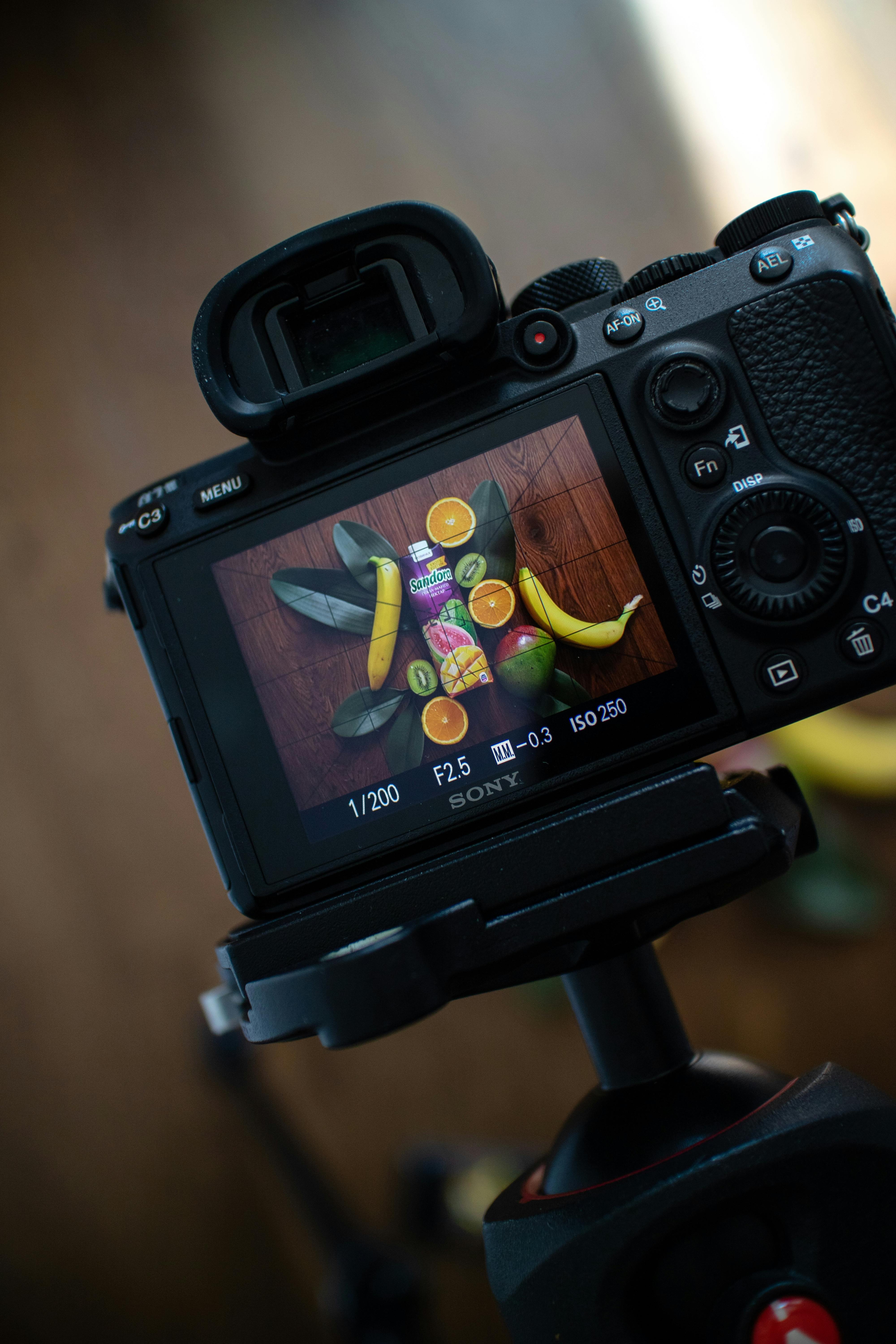 Free Camera screen showing a vibrant fruit arrangement. Ideal for food and technology themes. Stock Photo