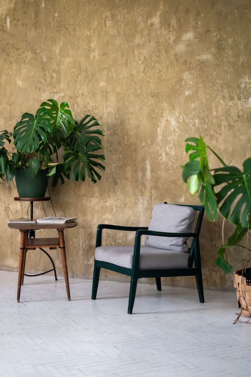 Free A cozy armchair and monstera plants in a chic, minimalist indoor setting with natural textures. Stock Photo