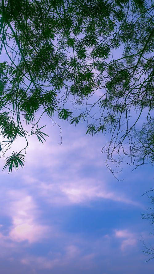 Foto stok gratis alam yang indah, awan di langit, fotografi alam