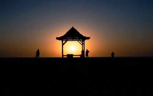 Безкоштовне стокове фото на тему «Африка, гарний захід сонця, золотий захід сонця»