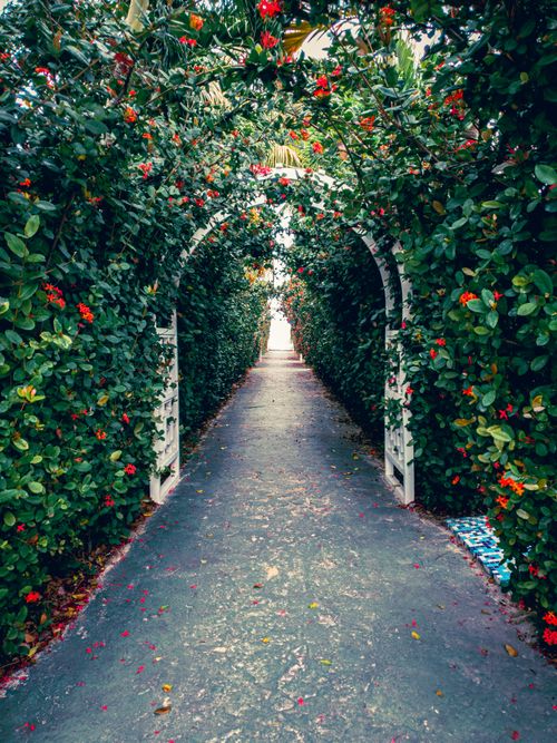 Free Enchanting archway with vibrant greenery and red flowers leading to a bright path in Varadero, Cuba. Stock Photo