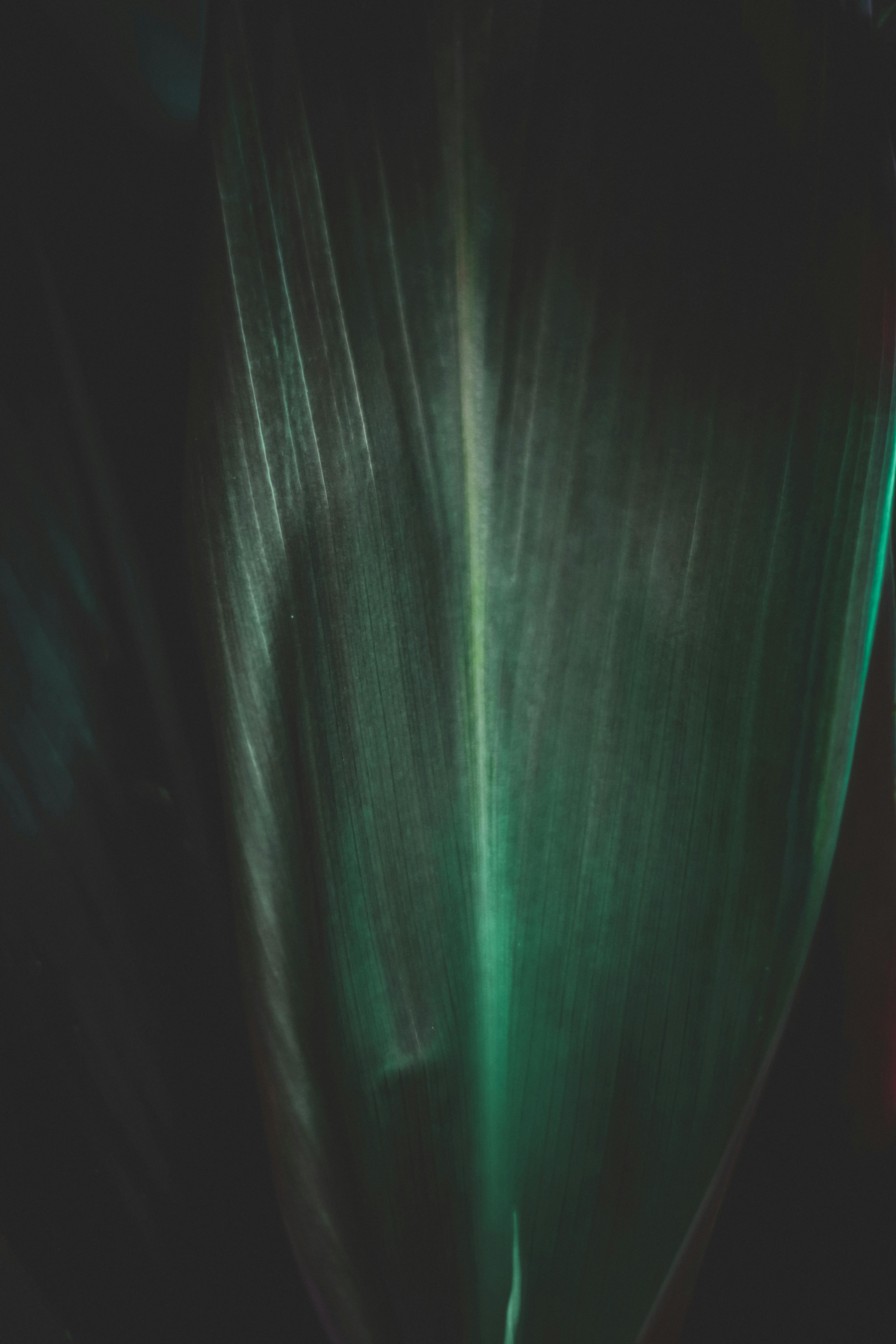 デザインサービス