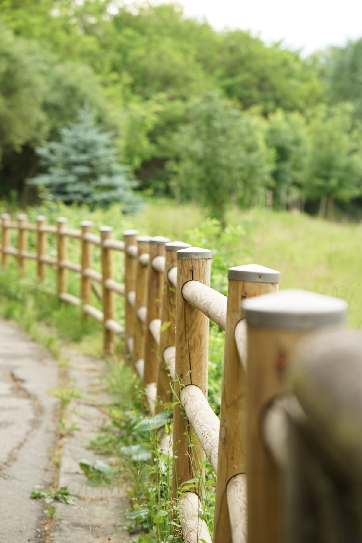 White Wooden Fence on Green Grass Field · Free Stock Photo
