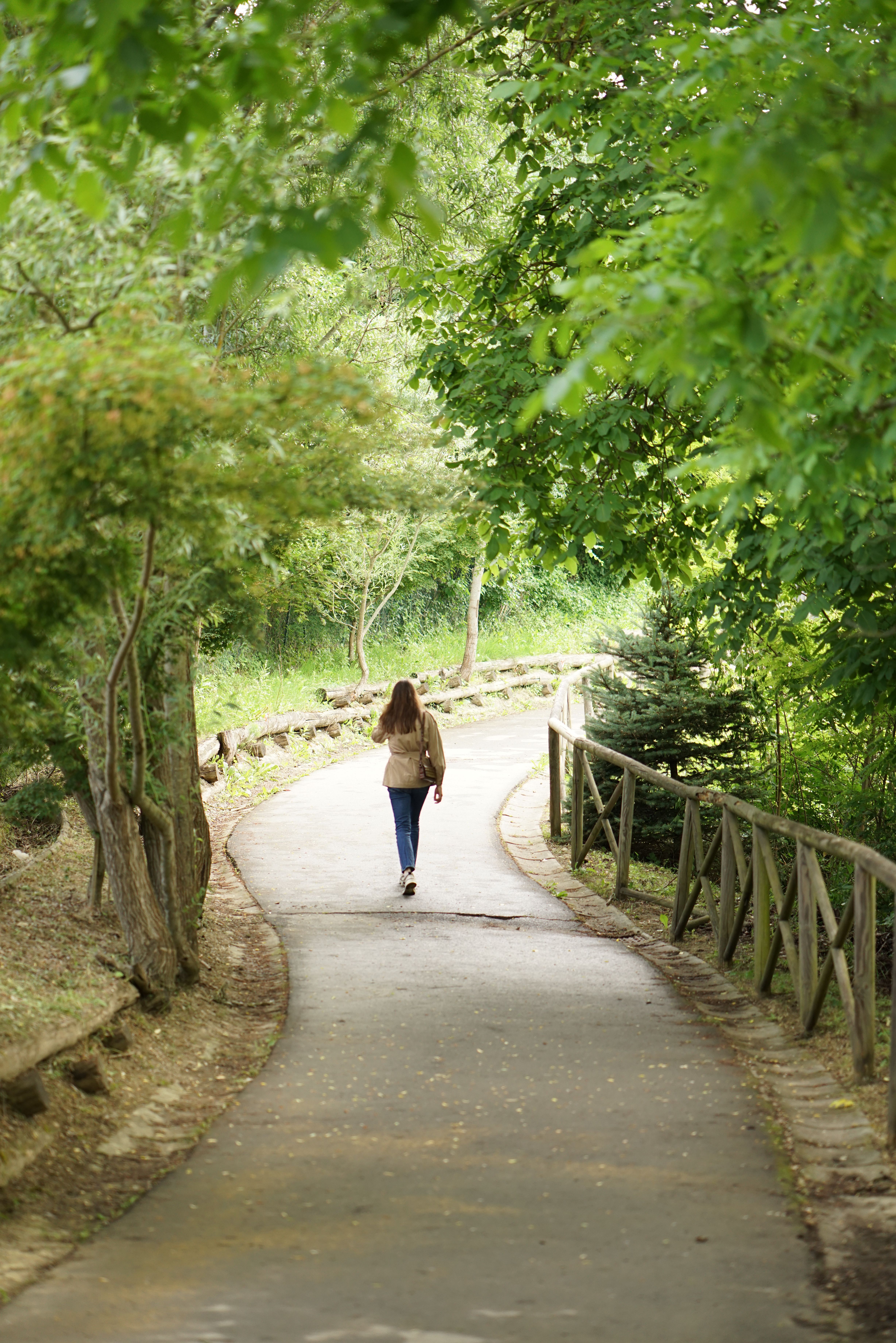 Woman Walking in a Park · Free Stock Photo