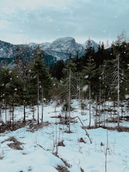 Serene winter landscape with snow-covered trees against majestic mountain backdrop.