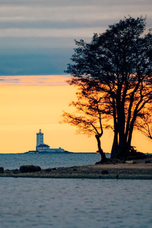 Kostnadsfri bild av falla, fyr, gryning