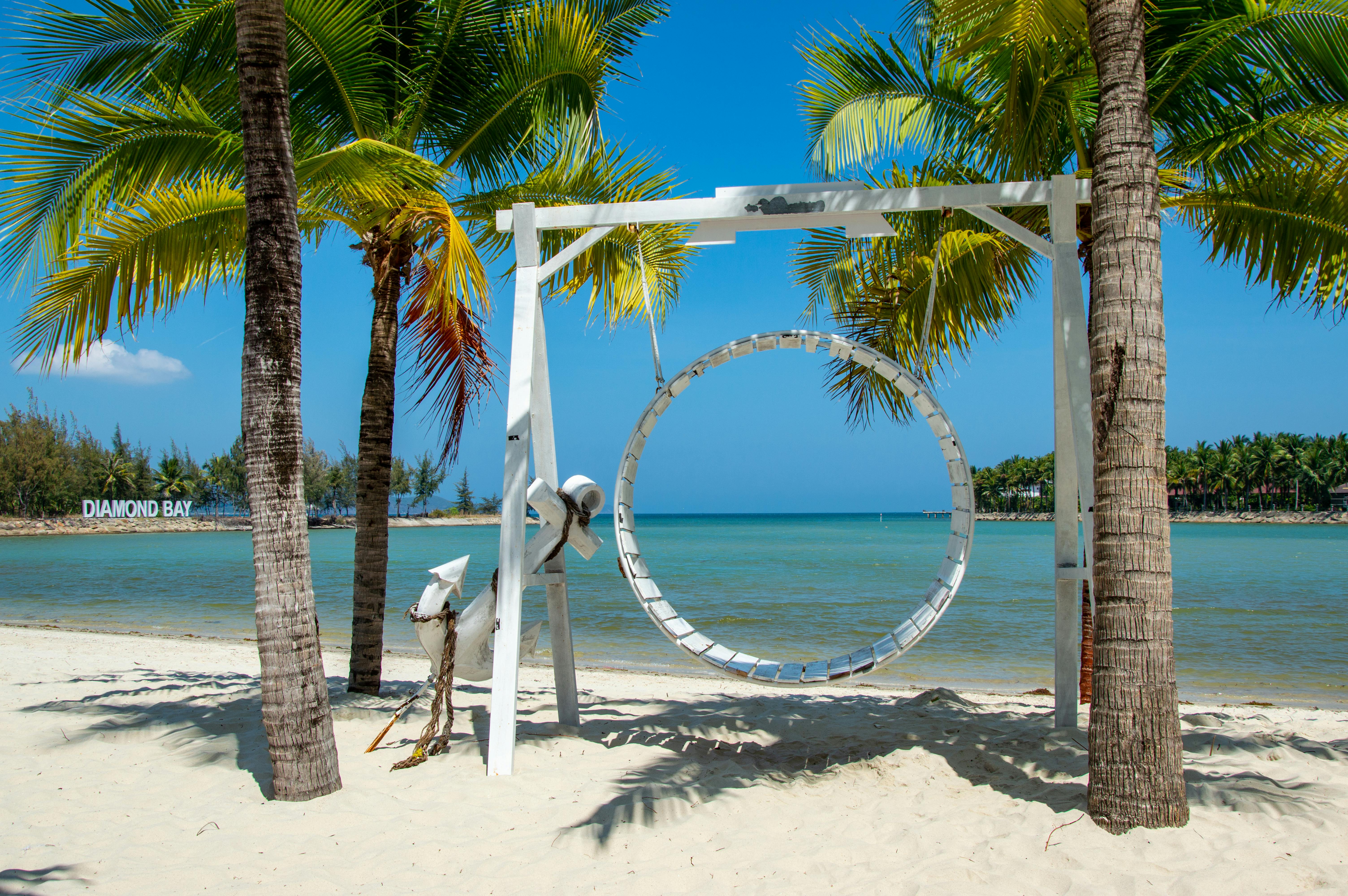 Relaxing beach scene with a swing and palm trees at Diamond Bay.