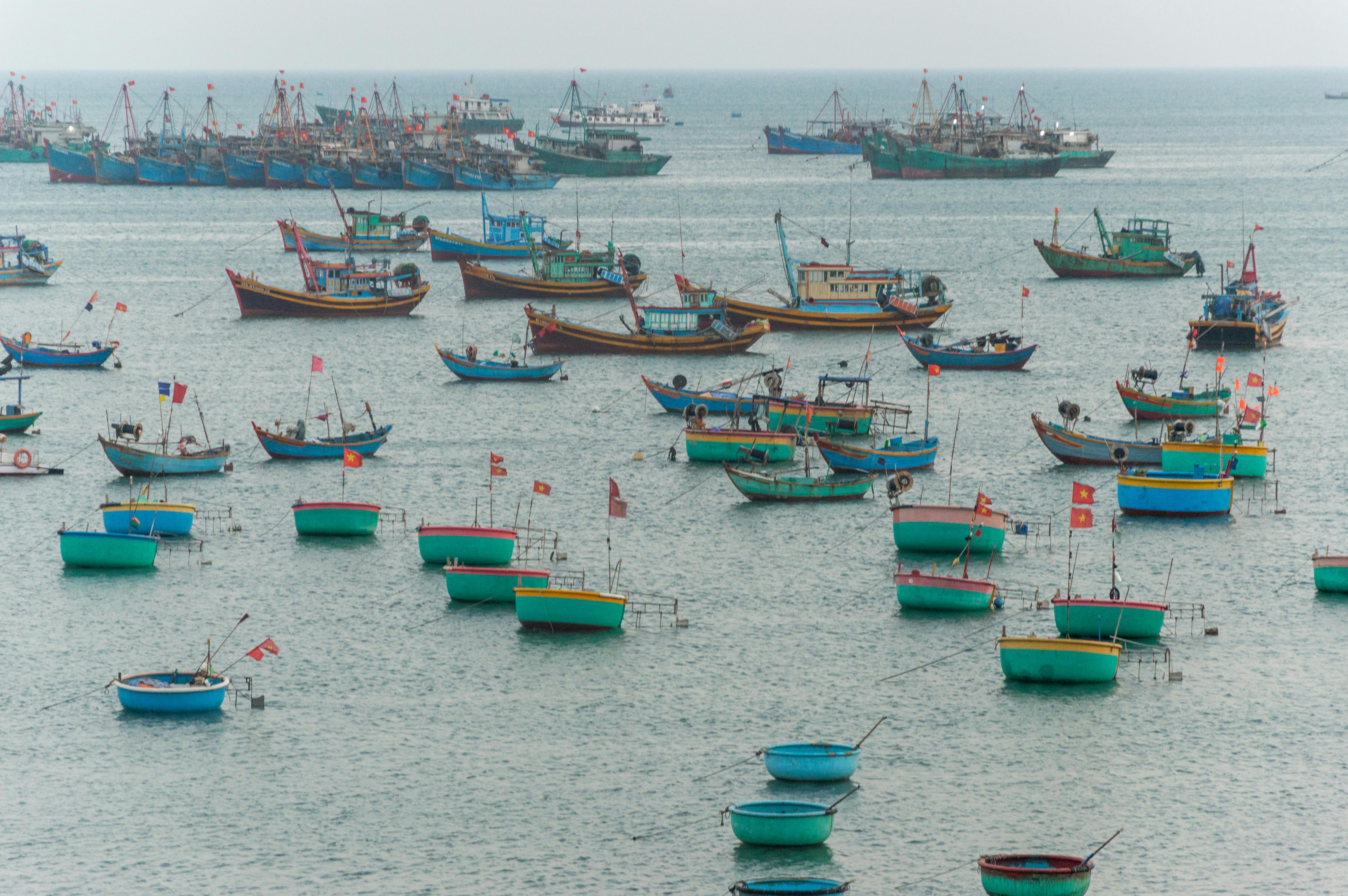 Small fleets priced out as insurance premiums soar — Photo by Vika Glitter on Pexels