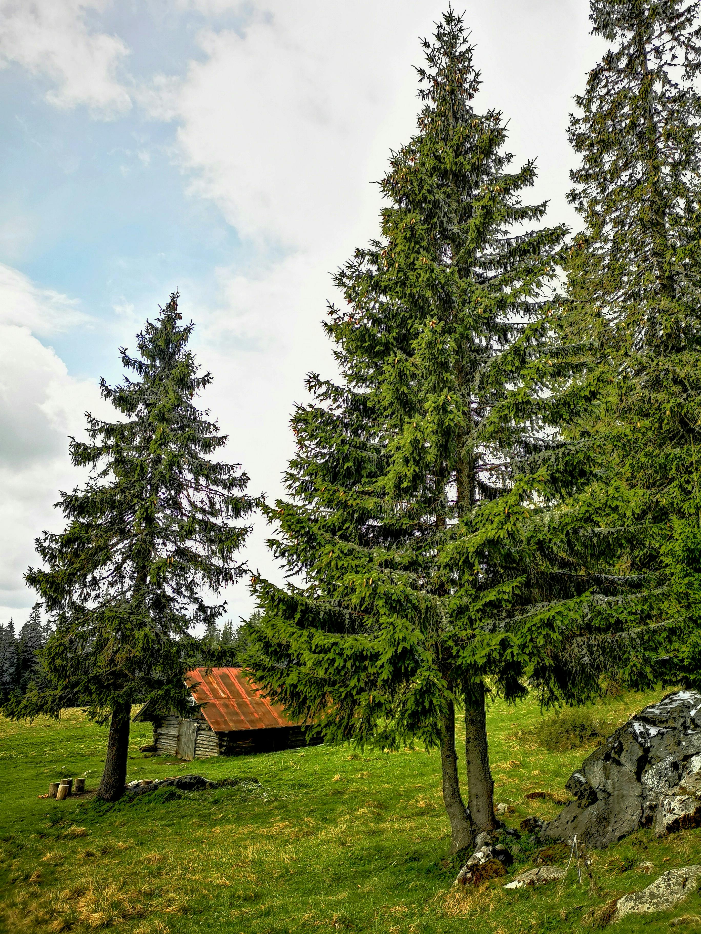 Ins And Outs Of Prepositions