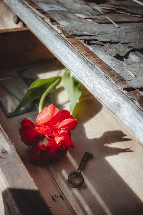 A red flower is sitting on top of a wooden box