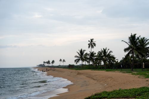Free Serene tropical beach with palm trees and gentle waves at dusk. Perfect for calm and relaxation. Stock Photo